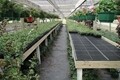 DURA-BENCH ULTRA PLASTIC NURSERY BENCHTO