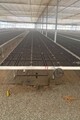 original-greenhouse-benchtop