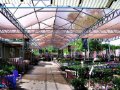 Picture of Shade House