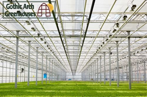 Commercial greenhouse roof vents and exhaust fans used for ventilation and cooling