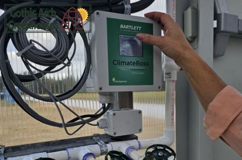 Farmer using a clipboard while reviewing crops inside a greenhouse