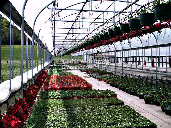 Greenhouse Supplies to Get Now