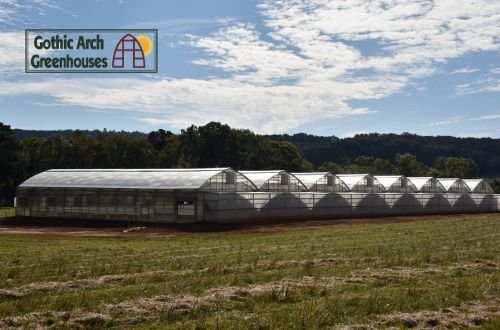 Interior layout of a commercial greenhouse with growing rows and central walking paths