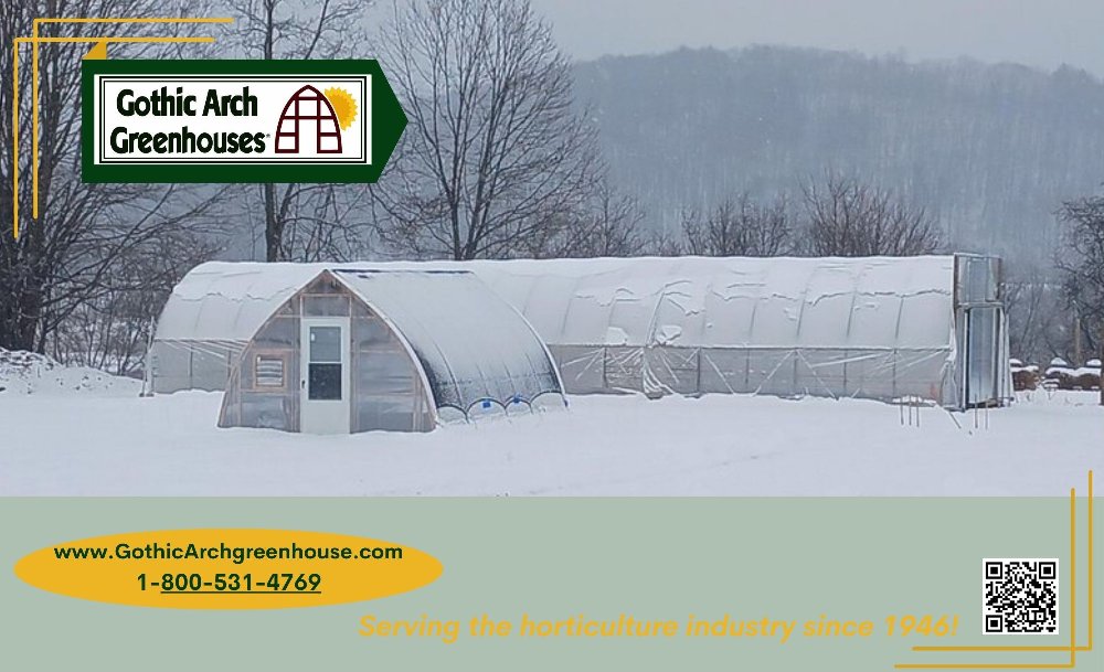 Modern Gothic Arch greenhouse in operation