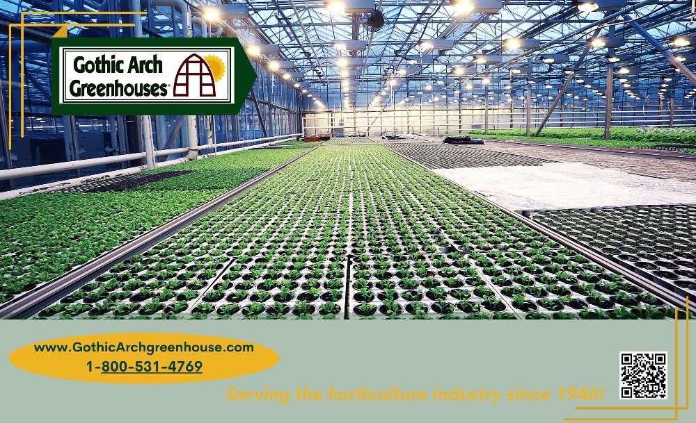 Greenhouse grower watering raised beds during spring preparation for the 2026 growing season