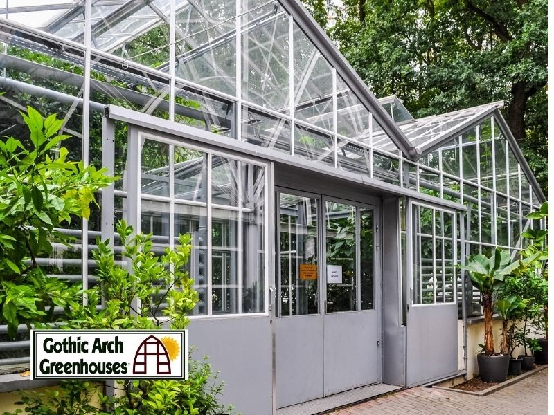 6 Types of Flowers to Grow in Your Greenhouse