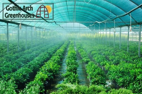Digital climate control screen monitoring greenhouse temperature and humidity