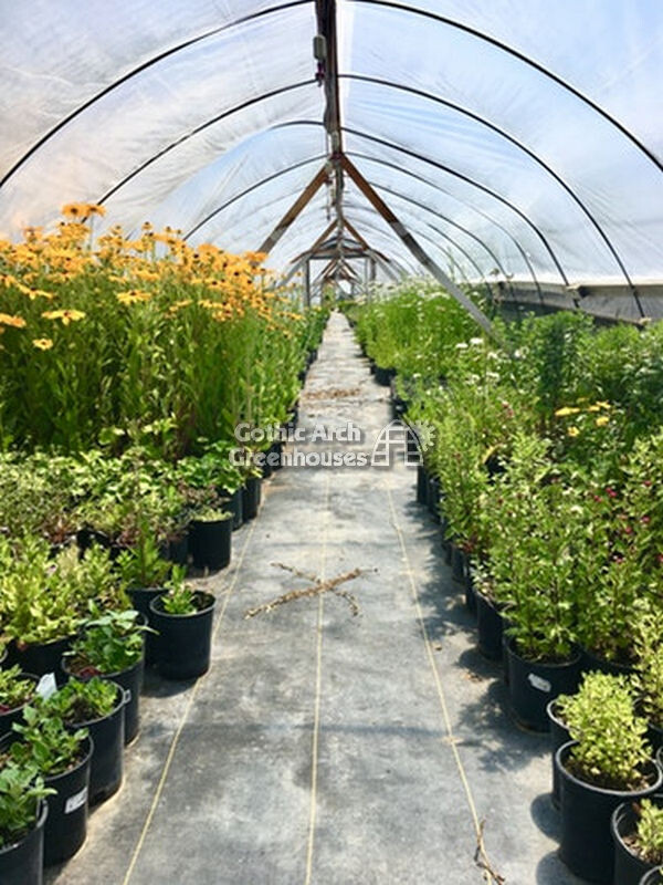 How to Choose Your Growing Containers