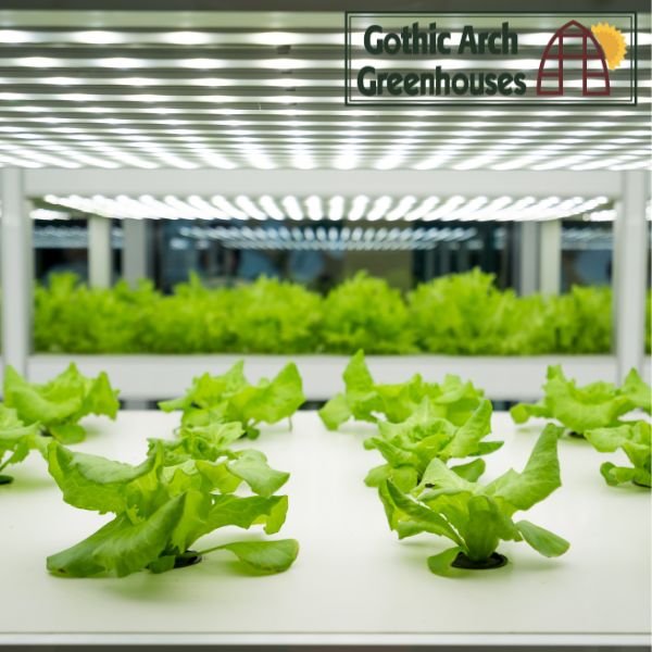 Hydroponic system with recirculating water and plant roots visible