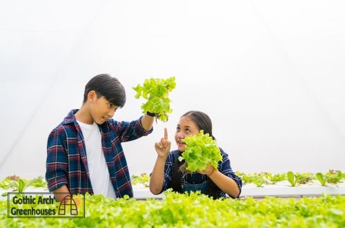 Students harvesting vegetables in a school greenhouse while learning teamwork, nutrition, and food production