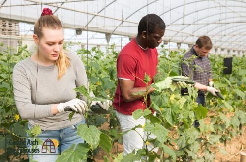 Students smiling inside a school greenhouse with raised beds and educational growing spaces